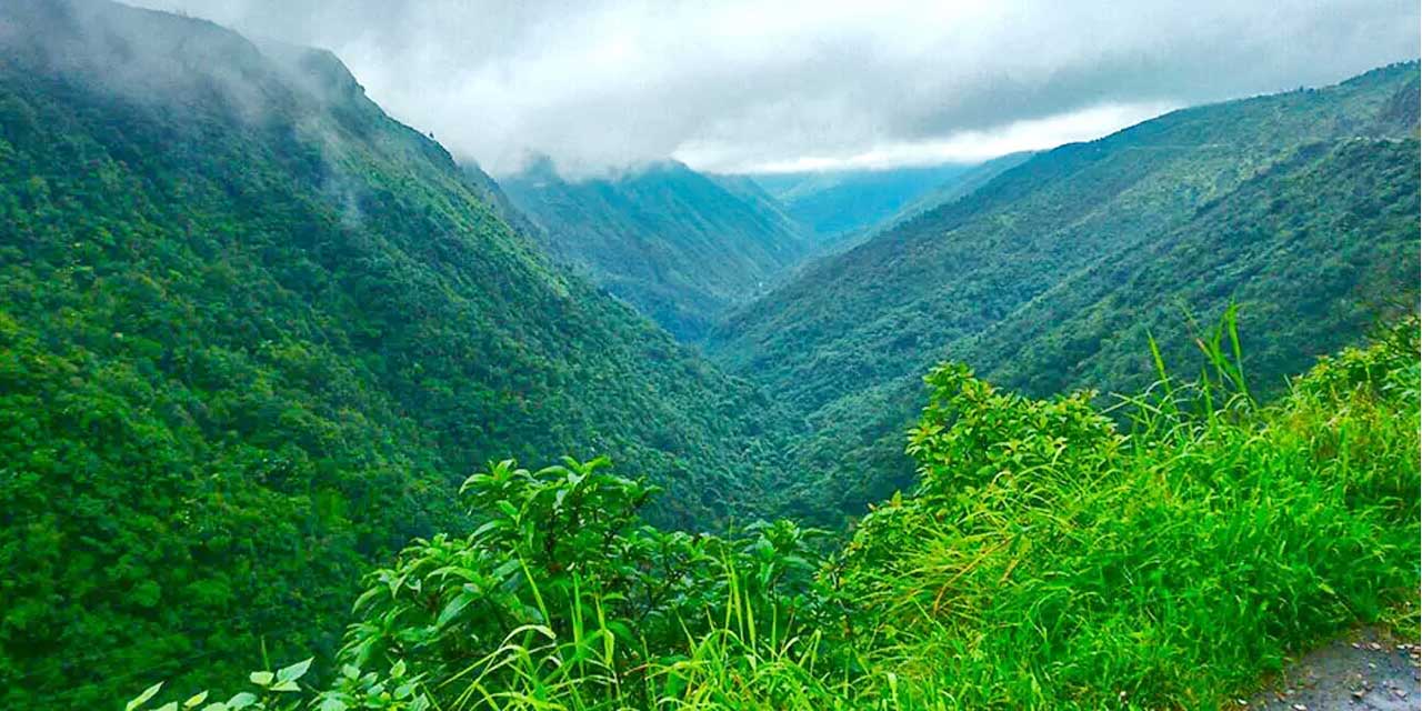 Green Valley, Shimla