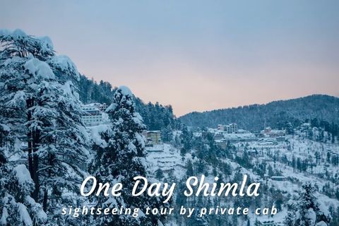 Shimla Sightseeing Trip by Car
